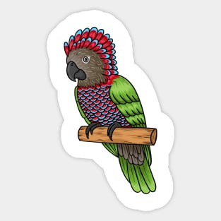 Hawk headed parrot bird cartoon illustration Sticker